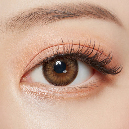 Spanish Circle Brown